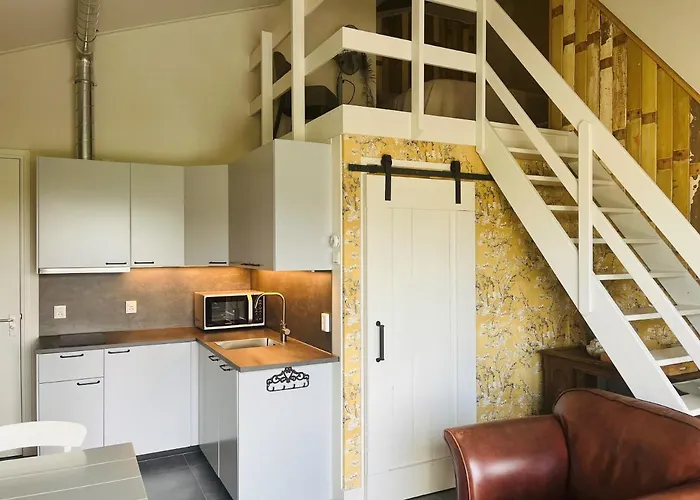 Doornvlak - Dicht Bij En Duinen!